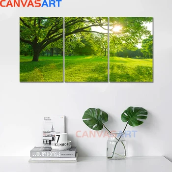 Естествен свеж слънчева светлина платно Живопис зелено дърво плакат горски пейзаж на стената на изкуството картини за Модерен хол начало декор
