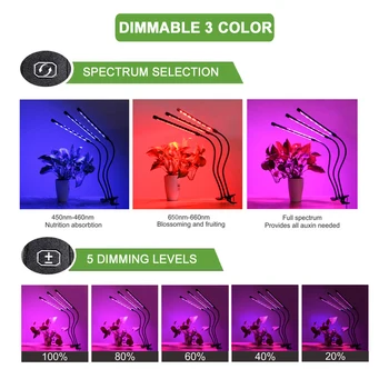 Fitolamp LED Grow Light 9/18/27W Full Spectrum Lamp For Year Desk Grow Lamp With Controller Indoor Growing Lamp Plant Светлини